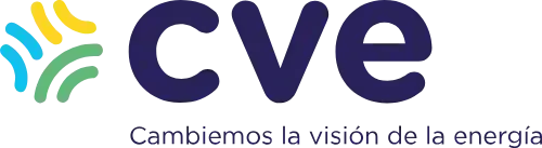 CVE CVE
